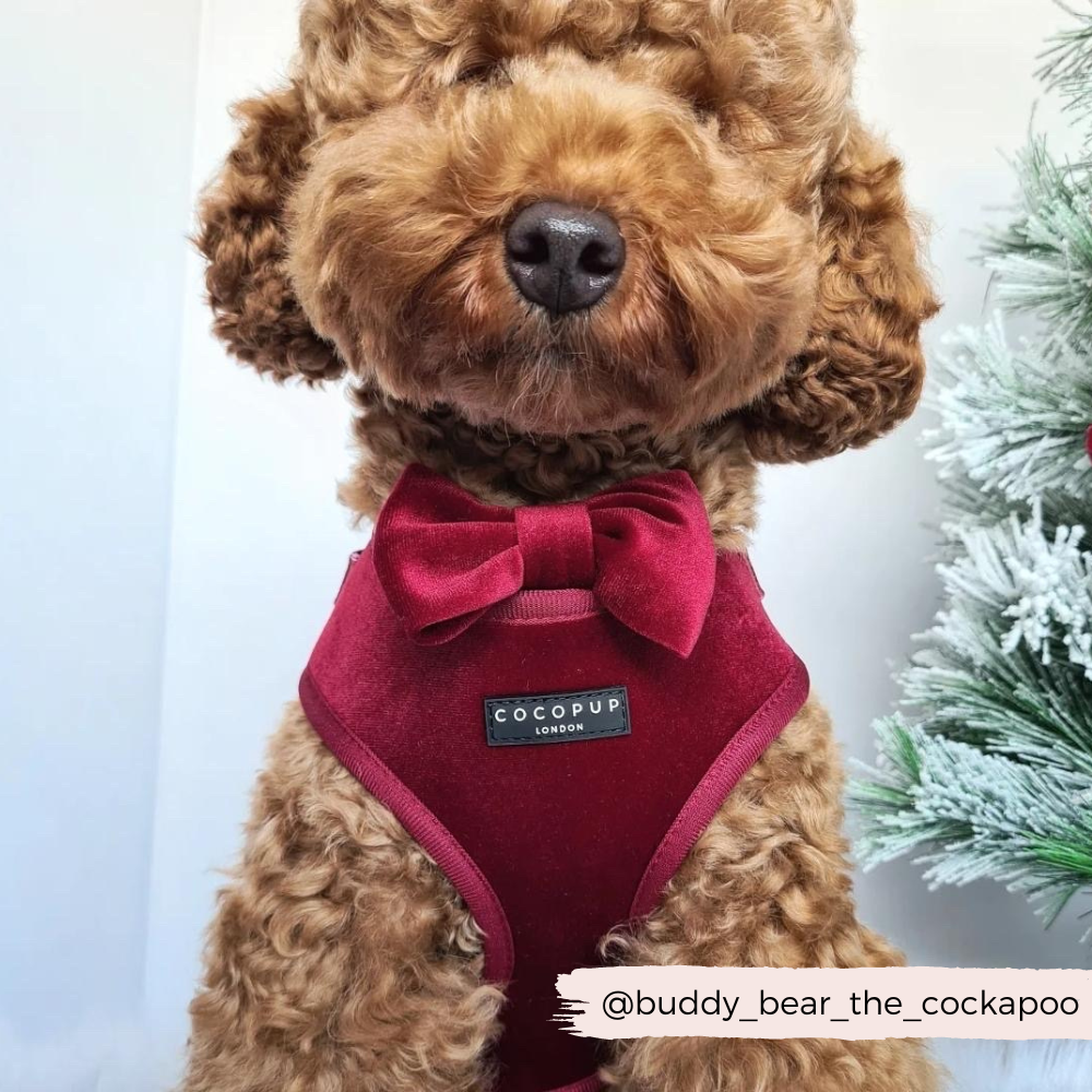 Nœud papillon en velours LUXE - Rouge baie