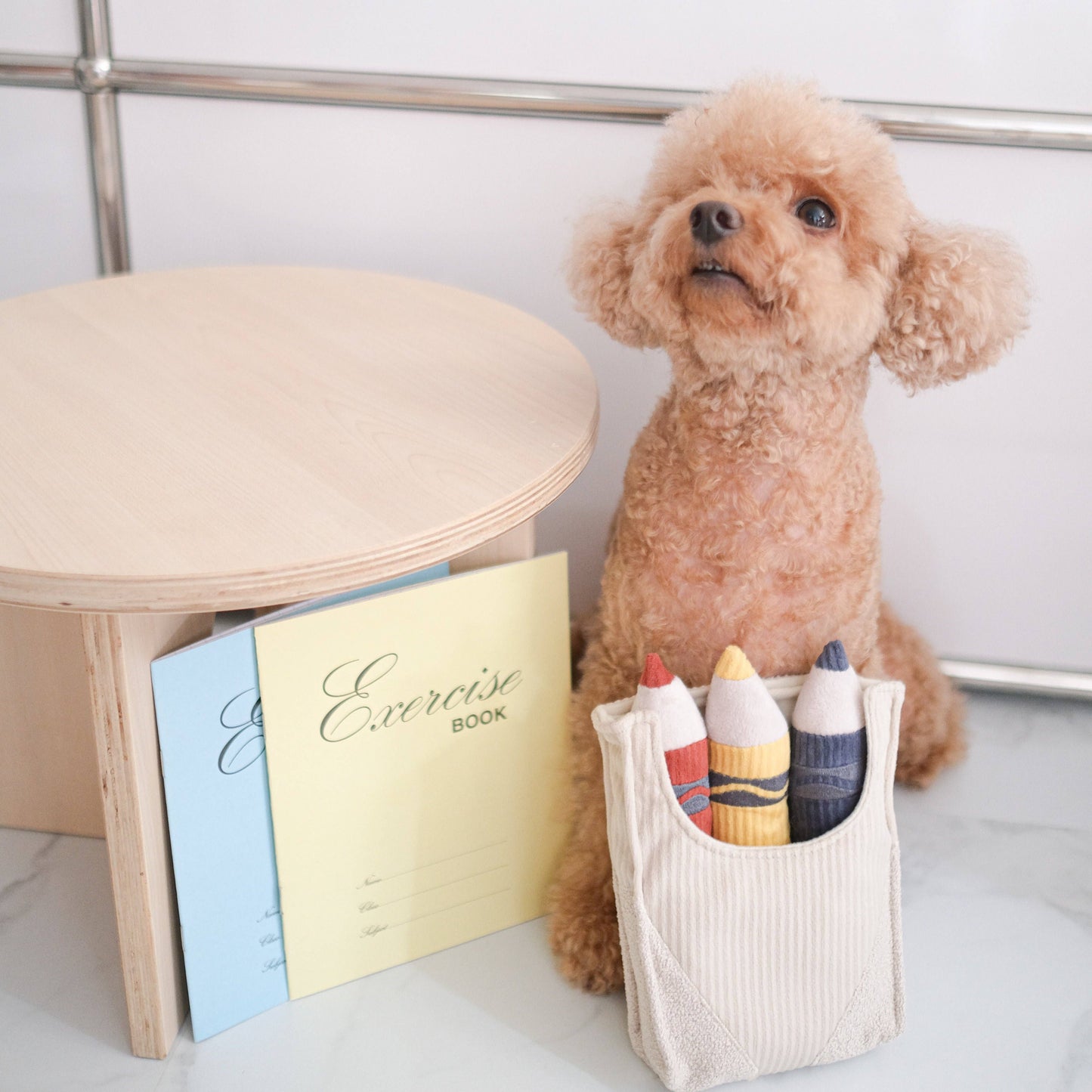 JOUET POUR CHIEN CRAYONS/ENRICHISSEMENT