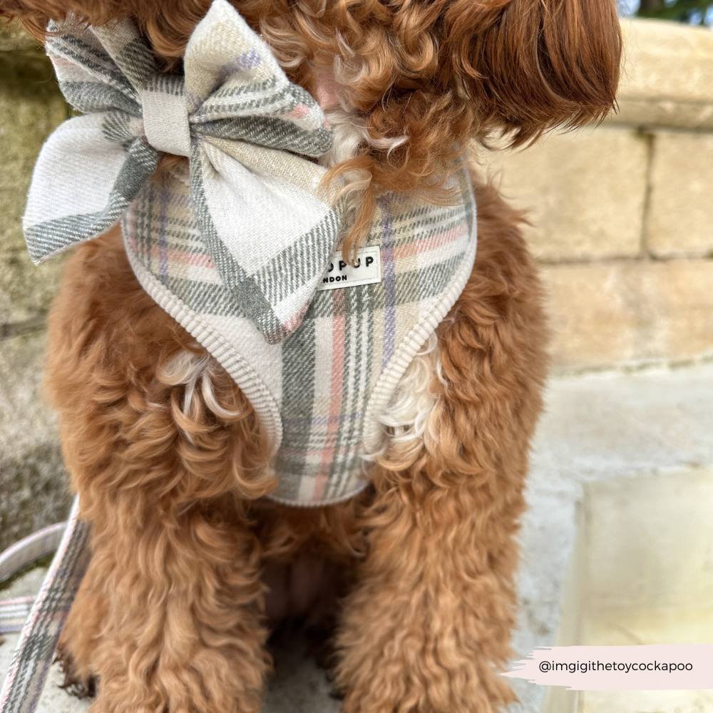 Nœud papillon marin à carreaux de printemps