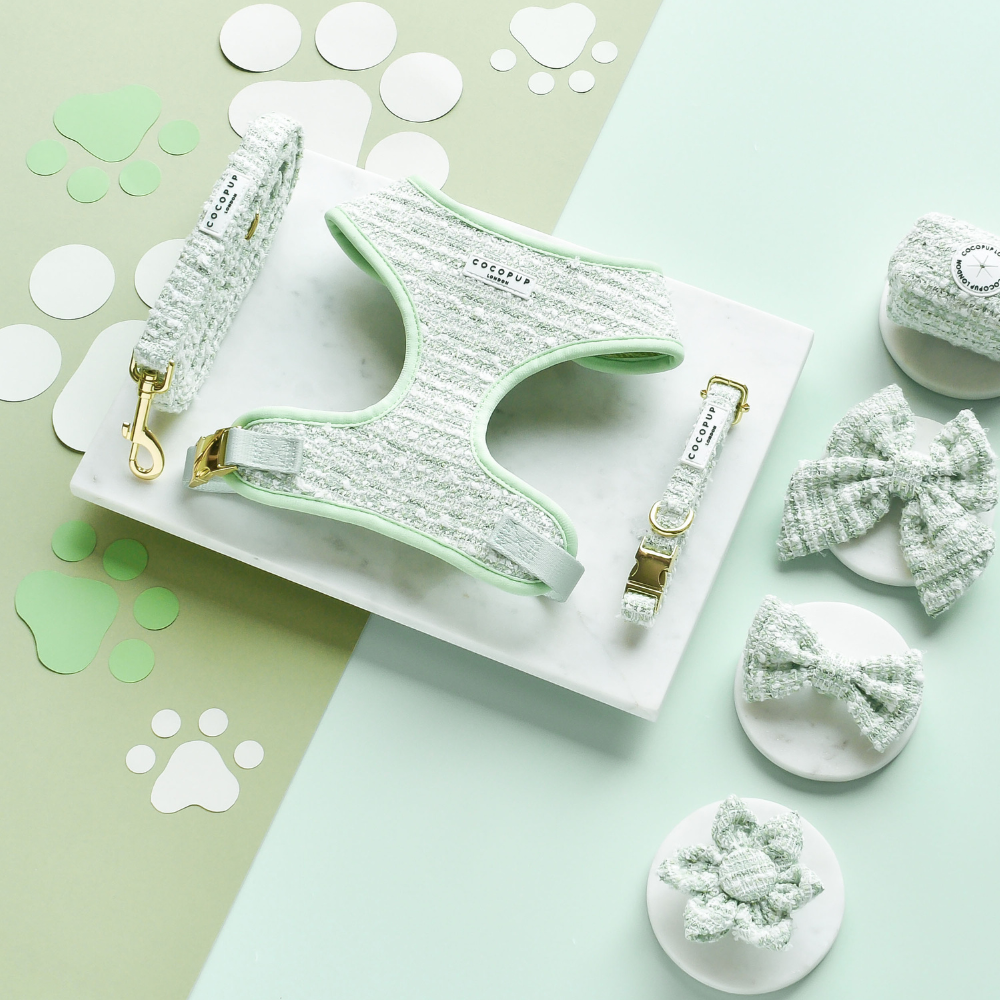 Nœud papillon en tweed texturé matcha