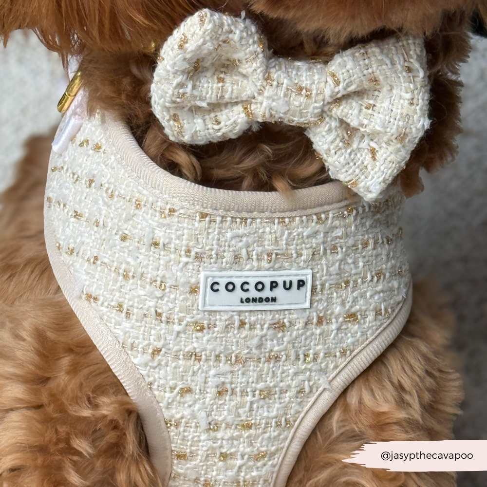 Nœud papillon en tweed texturé vanille