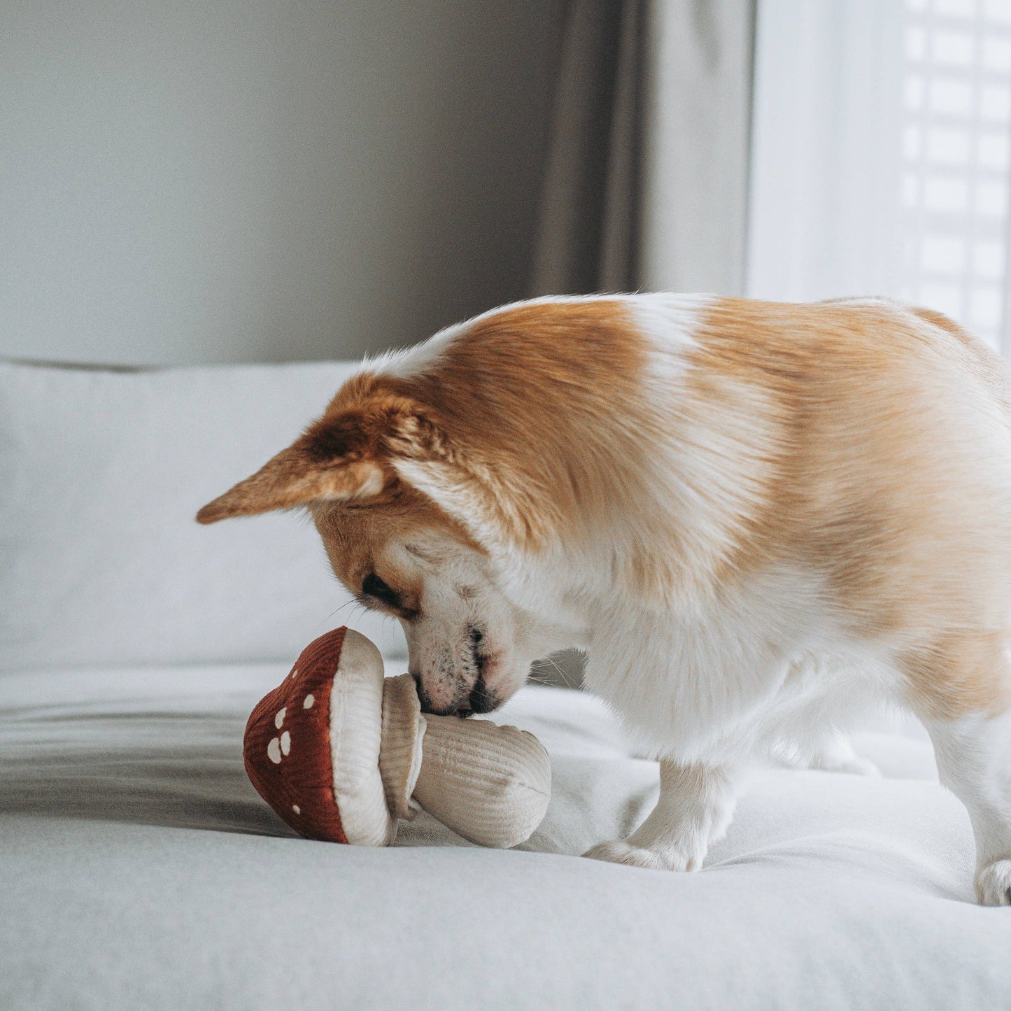 Peluche Champignon