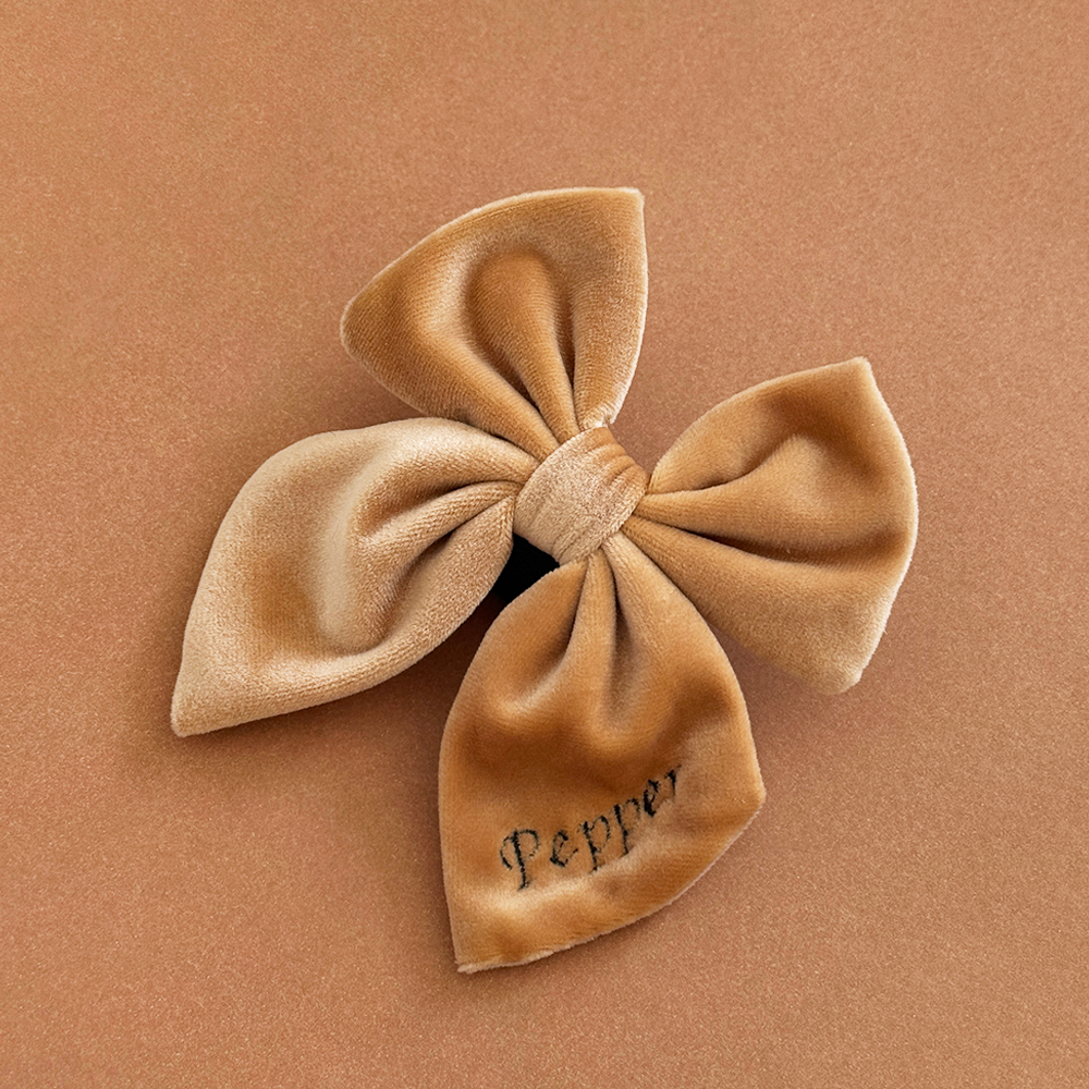 Nœud papillon marin en velours de luxe - Mocha