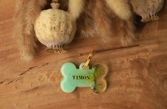 Médaille TIMON