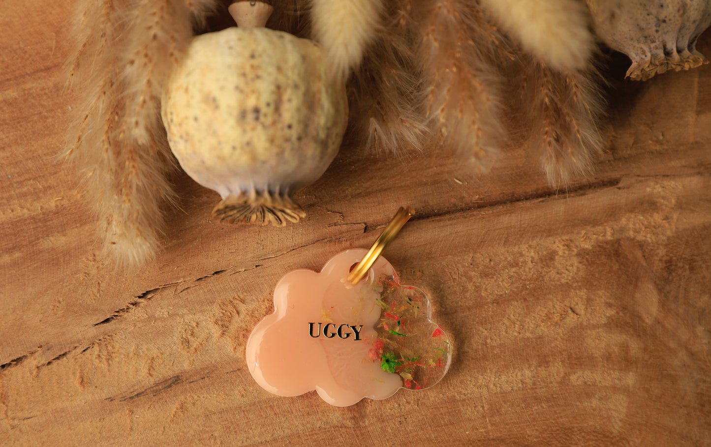 Médaille UGGY