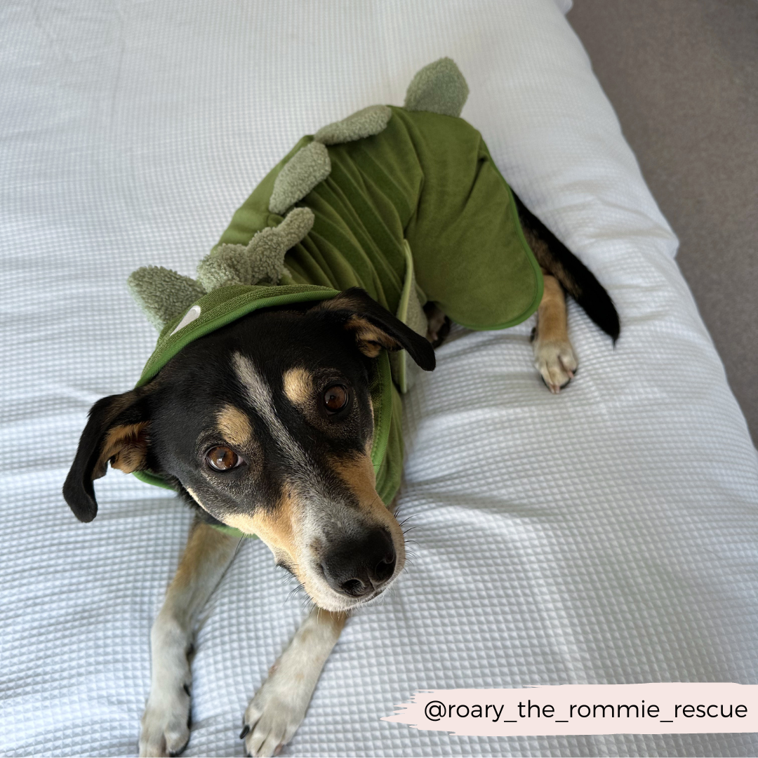 Peignoir de séchage Dinopup