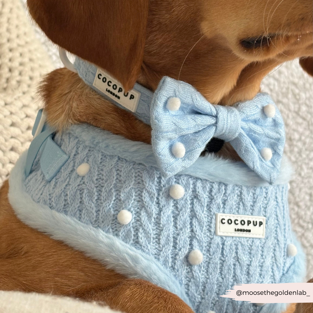 Nœud papillon Snowpaws