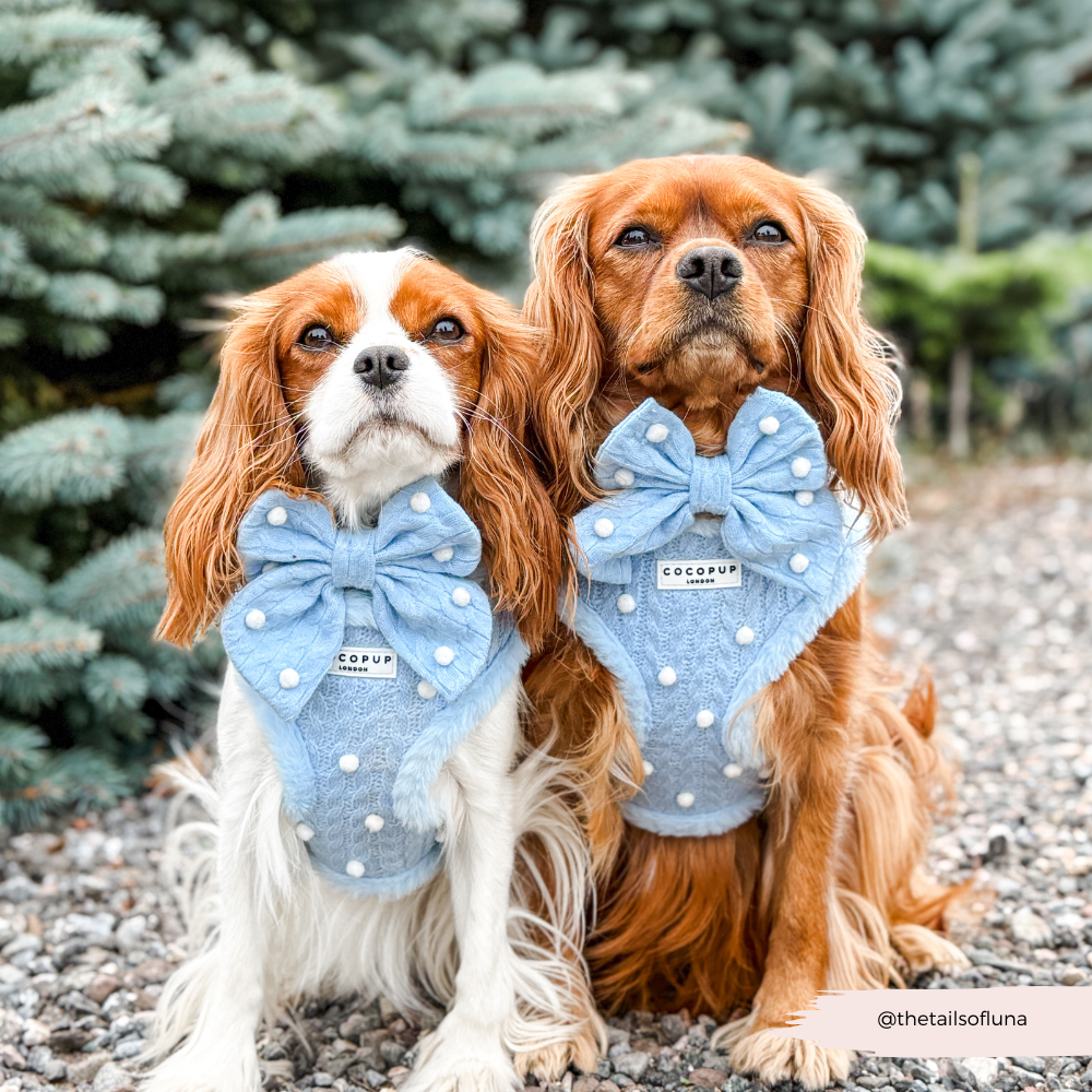 Nœud papillon marin Snowpaws