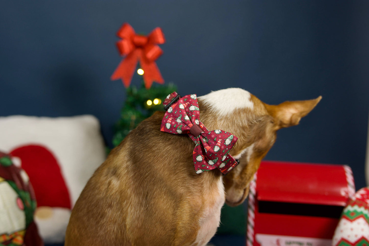 Noeud papillon lutins