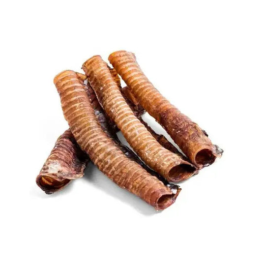 Trachées de boeuf